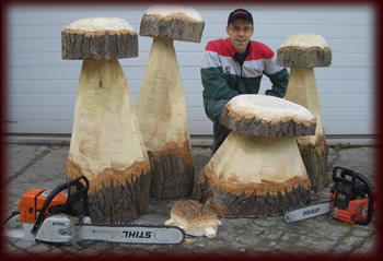 Riesen Holzpilze